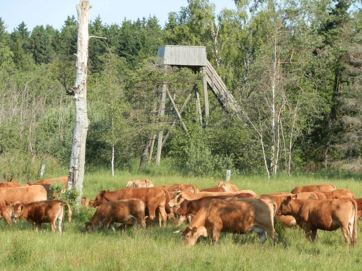 Under Canvas Bornholm Ostermarie Екстериор снимка